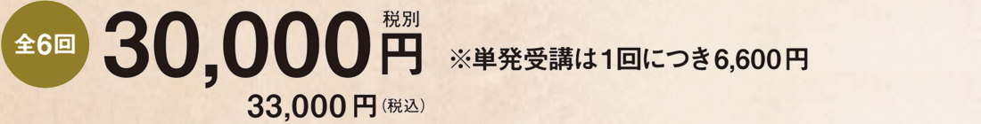 33000円（税込）